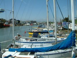 Peter Leonard Marine