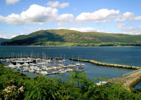 Carlingford Marina