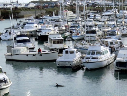 Beaucette Marina Ltd