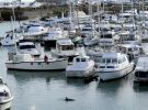 Beaucette Marina Ltd