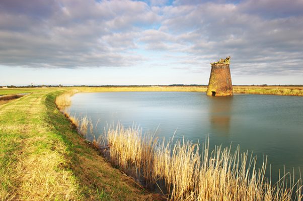 A falling down windmill on the Broads