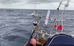 Good-Report-towing-Minke-jester-azores