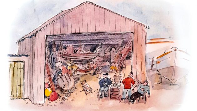 Dave Selby Boat shed cartoon