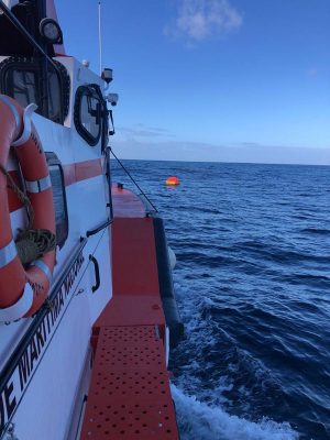 An orca interacting with a yacht. Credit: Grupo de trabajo Orca Atlántica (GTOA)