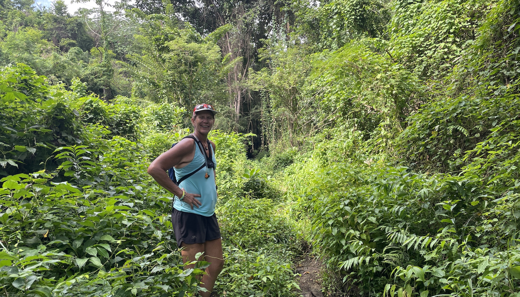 Top things to do in Grenada for visiting cruisers Practical Boat Owner