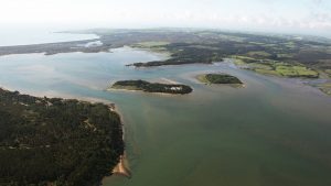 Green Island on its own near Ower quay, Poole Harbour. Credit: Sue Sieger