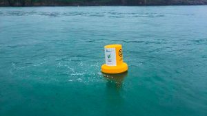 New marker buoys in place to highlight where sensitive seagrass habitats are in Torbay, Devon