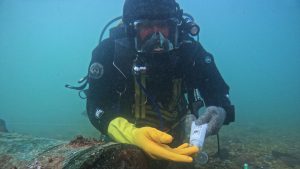 A diver applying a protective marking solution to a bronze cannon on the Klein Hollandia protected wreck site. Credit: MSDS Marine/Martin Davies