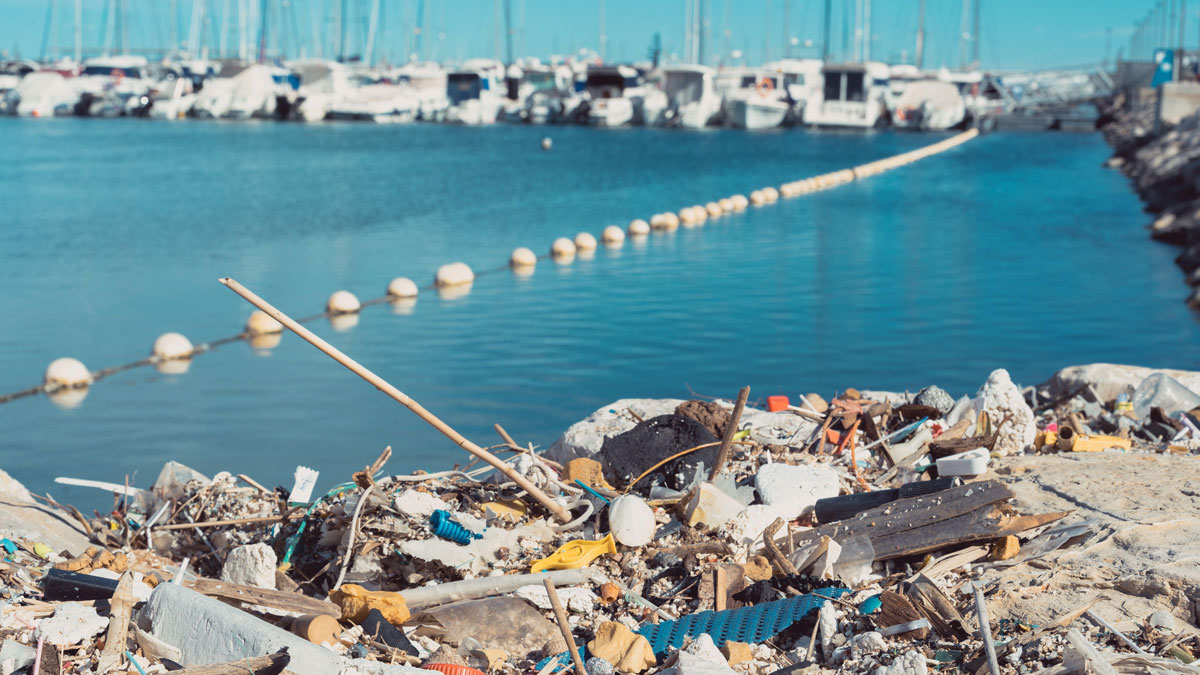 Rubbish at sea that has washed up in a marina