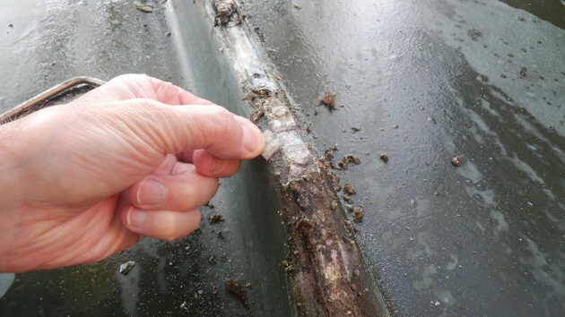 A man lifting out a small piece of wood from the hull of a boat