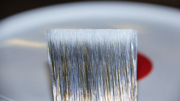 The bristles of a paintbrush