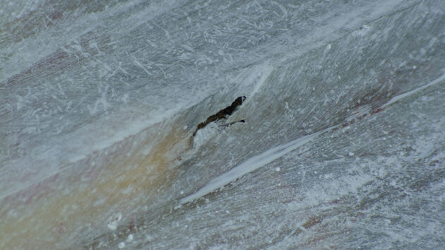 This hole in the side of one of the strakes could have been one of the leak sources