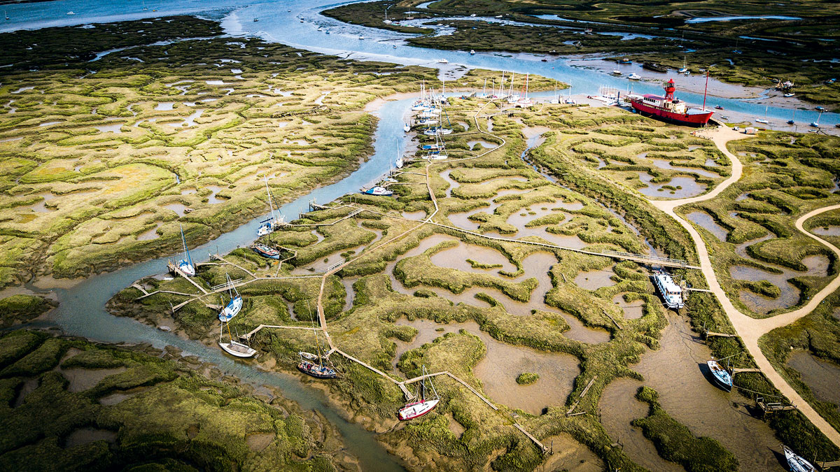 An aerial view of marshes