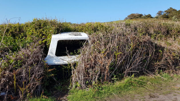 Abandoned boat in a hedge at Porth Hellick, St Mary's, Isles of Scilly. Credit: John Summerscales