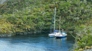 Boats moored in an anchorage using a shore line