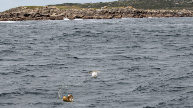 Fishing gear poorly marked off the coast, posting a risk of fishing gear entanglement