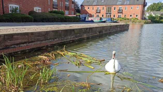 Low water level at the canal basin in Market Harborough. Credit: www.unionwharfharborough.co.uk 