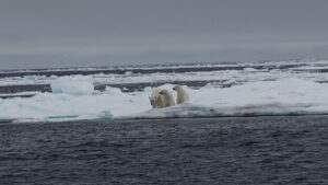 Glaciers are retreating and so is the amount and thickness of sea ice. Credit: Chris Tibbs