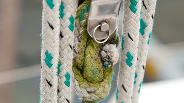 a mouldy rope on a boat