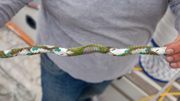 Mouldy running rigging on a yacht