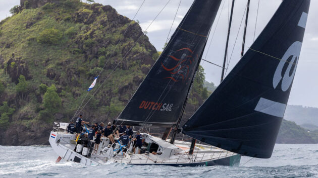 Nextgen by Jajo. Credit: Tim Wright/Photoaction.com