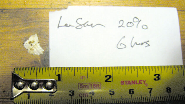 A cockleshell disolving