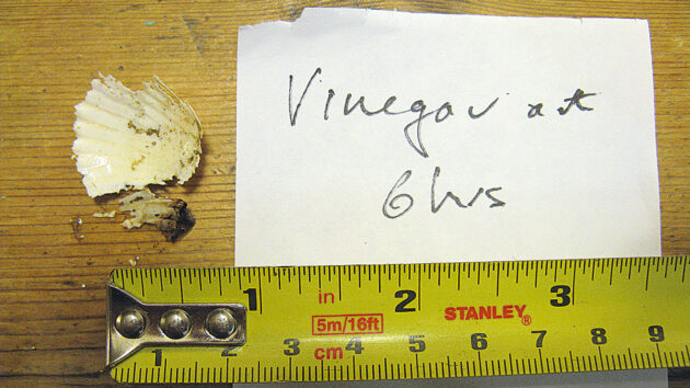 tests being done to see what can descale pipes best