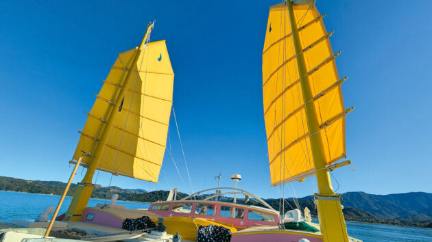 Junk rig sails on China Moon, the catamaran designed by Pete Hill