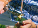 A woman tightening a nut on a compression joint wiht a spanner