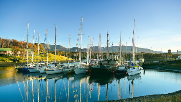 Yachts moored in a harbour