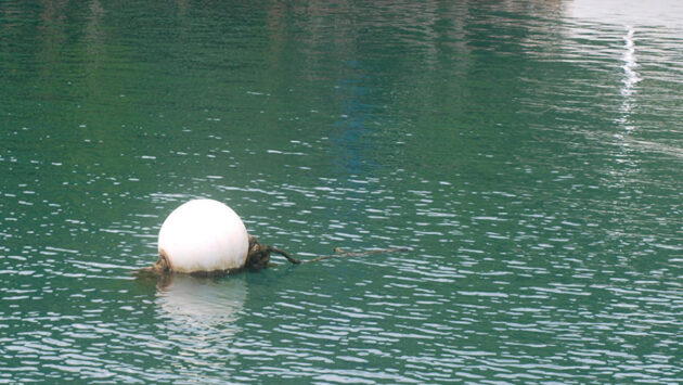 A white buoy marking a boat mooring