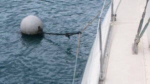 A catamaran secured to a boat mooring