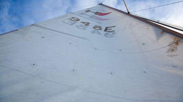 A sail on a masthead rig of a sail boat