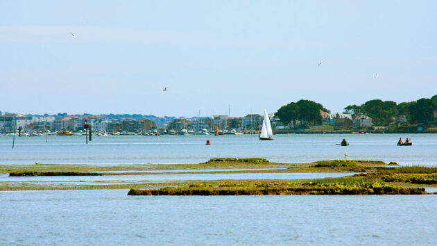 A harbour