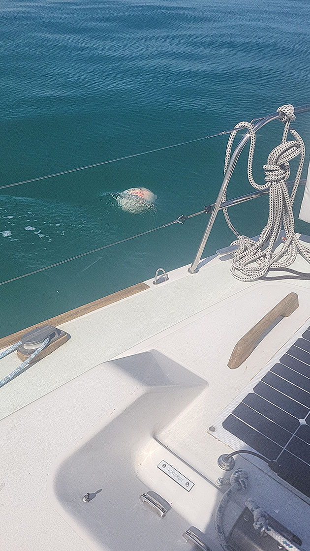 Lobster pot buoy being pulled under by the tide