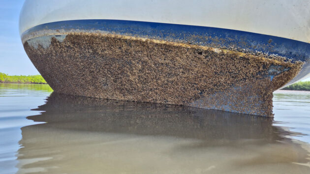 A careening boat with its hull exposed covered in barnacles