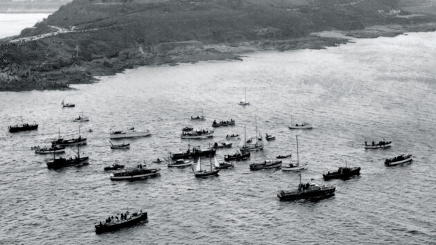 A flotilla of boats