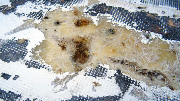 Boat construction problems: delamination on a yacht