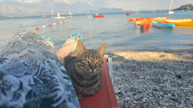 A cat snuggled with a woman on a sunlounger at the beach next to Seafarer's beach club resort at Nikiana, Lefkada, Greece. Credit: Jason Williams