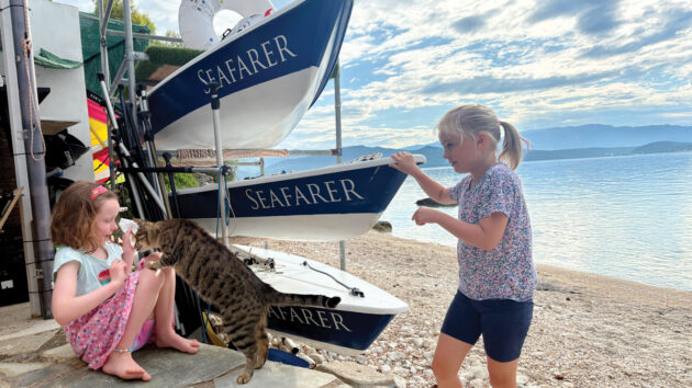 The tarverna cats were a huge hit with the children at Nikiana's Seafarer beach club