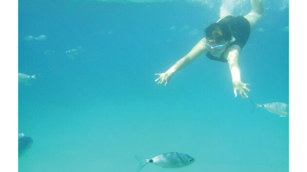 Girl swimming underwater with a fish