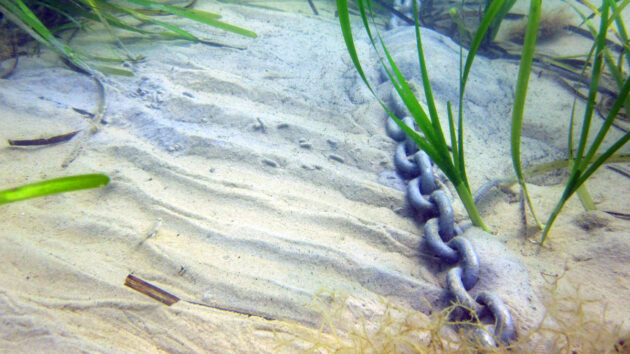 A scar caused by anchor chain at Studland, Dorset. Credit: The Seahorse Trust