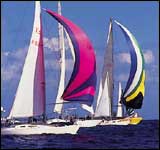 arc yacht race tracker