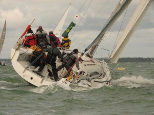 sailing logic lion reflex 38