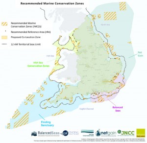 Marine Conservation Zones