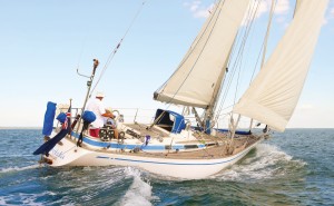 Swan 411.jpg