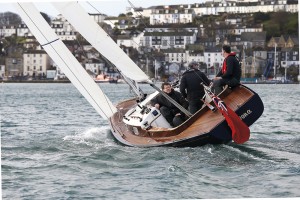 Rustler 33