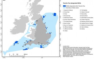 Tranche two Marine Conservation Zones (MCZs)