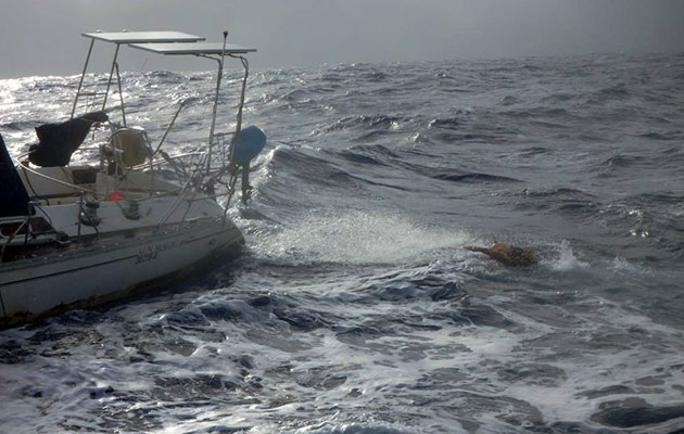 ClipperRace_LMAXExchnageCrewMemberSailsToBoardSayo