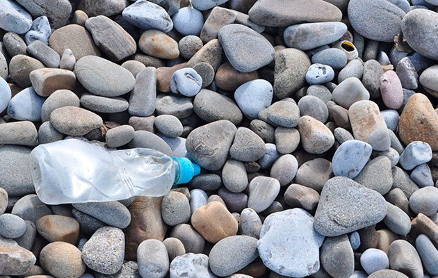 Marine-Conservation-Society2